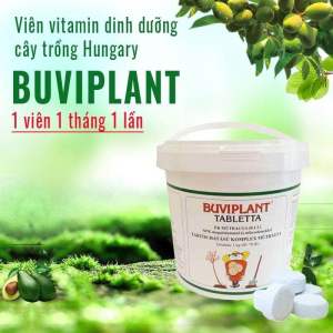 100 viên nén vitamin buViplant dinh dưỡng cho các loại cây trồng