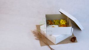 Dus Nasi 20x20 Duplek Tebal 350 GSM Box Catering Putih Kotak Makan Dus Snack Kue isi 50 pcs