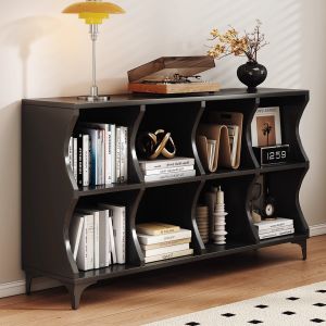 Sleek Modern Black Bookshelf Cabinet
