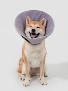 HIDREAM Waterproof Cat Cone Collar Adjustable Pet Elizabethan Collar Recovery Anti Bite Lick Wound Healing After Surgery For Dog Cat Pet