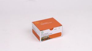 STC-200 Thermoregulator Temperature Controller Refrigerator Defrosting Alarm Thermostat Regulator Heating Control 220V