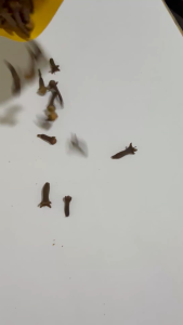 Cloves (Clove) - 1kg
