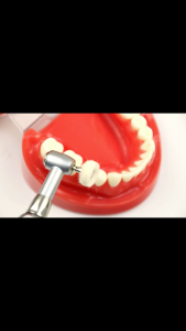 Dental Polishing Wheel Wool Cotton Polishing Brushes Polishers for Rotary Tools