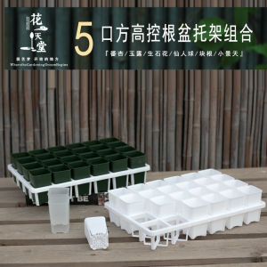 Mini 5cm Side Opening Root-Controlling Square Vientiane 24 Grid Bracket Combination Meat Cone Jade Dew Vientiane High Waist Plastic Flower Pot