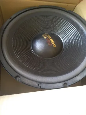 speker 12 in wofer canon