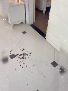 5g Cockroach Killing Bait Powder Pest Repellent Control Trap Lipas