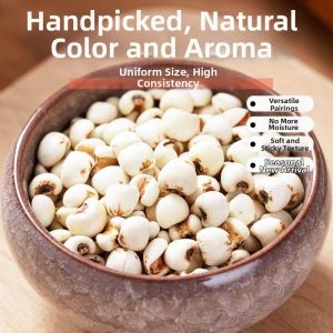 Quality Coix Seed Large Loose