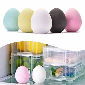 JETTING | Diatomaceous Earth Odor Absorbing Egg Kitchen Air Freshener Refrigerator Deodorizer
