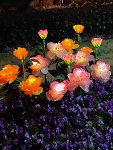 Solar Peony LED Flower Stake Lights Outdoor Garden Lamp Waterproof Colorful Artificial Flowers for Lawn Patio Landscape Decor