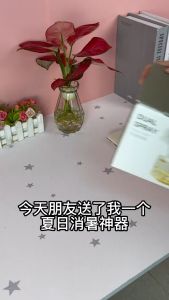 Quạt hơi nước Quạt mini phun sương để bàn 3 chế độ có điều khiển từ xa – Mẫu mới 2023