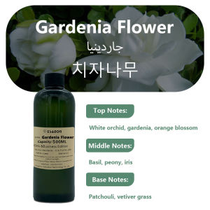 ESAEON Perfume Machine Essential Oil - For All Waterless Aromatherapy Machines Hilton/Shangri-La/Kempinski - 500ML (16.9 fl.oz)