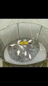 Vó Tròn 1M Bẫy Tôm Cua Cá - Vó Nhấc Tôm Kéo Tép Bắt Cá + Tặng Kèm Mồi