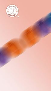 Toilet Kucing: Panduan Lengkap