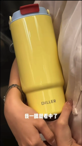 DILLER 920ml Insulated Tumbler with Handle & Straw | SUS316 Ceramic Coated Stainless Steel Water Bottle