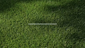 5-year warranty 2.5M × 25M Artificial grass mat 3CM Fake Lawn Turf Mat with Dewatering Hole Spot goods
