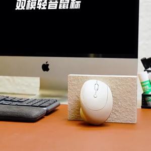 Sanwa Supply | Bluetooth Ergonomic Silent Small Mouse