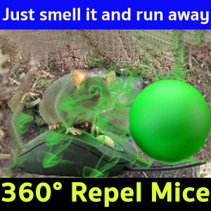 Mothballs For Rats Valid For 15 Years No Mice Within 10000 Meters Plant Formula Effectively Repel Mosquitoes Cockroaches Mice And Other Pests Rat Repellant Killer Bait Poison perangkap tikus racun tikus rat repellent 老鼠药