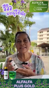 Alfalfa Plus Gold (คลอโรฟิลด์ สกัดจากต้น Alfalfa) ควบคุมน้ำตาล แพ๊ค 6