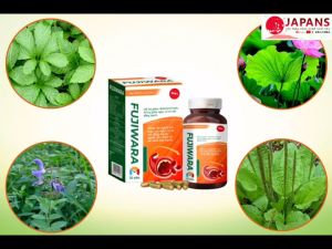 Fujiwara Viên Uống Giảm Mỡ Máu Bảo Vệ Tim Mạch