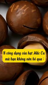 Hạt Macca Size Đại 500gr | Đặc Sản Tây Nguyên