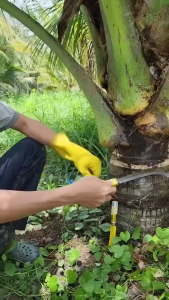 Dao Liềm  Vệ Sinh Dừa 🌴 Dao Rửa Dừa 3 Tấc Hàng Nhập Trung Siêu Sắc Bén Hàng Loại 1