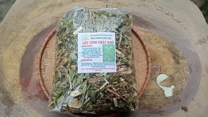 cây cơm cháy sấy khô 1kg TẶNG 100g cỏ ngọt