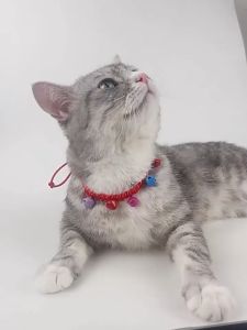 Elegant Adjustable Cat Bell Collar with Colorful Beads for Pet Decoration