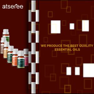 Minyak Esensial Peppermint & Lavender: Manfaat dan Cara Penggunaan