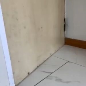 Bánh xe đẩy mini bánh xe trợ lực cửa bánh xe nhỏ chịu lực di chuyển đồ đạc-kem ốc vít