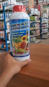 แคลลอน (แคลเซียมโบรอน ขนาด 1 ลิตร) ช่วยทำให้เกสรแข็งแรง และผสมเกสรได้ดีกว่าปกติ ป้องกันดอกและผลร่วงและแตก