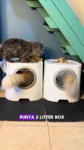 Bye Bye Bau - Deodorant Litter Box Penghilang Bau Litter Box | Dr.Bulu