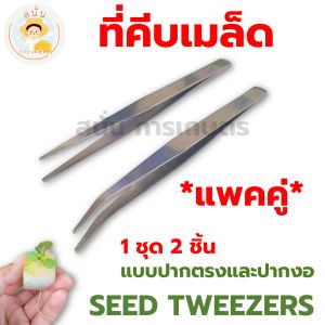 (พร้อมส่ง) ฟอร์เซป ที่คีบเมล็ด สแตนเลส ปากคีบ ปลายตรง ปลายงอ คีบต้นกล้า คีบเมล็ดพันธุ์ อเนกประสงค์