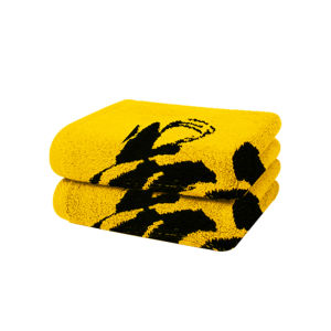 Dracaena | Cotton Gym Sweat Towel 35cm*82cm