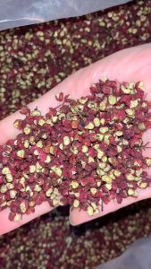 花椒พริกเสฉวน  เครื่องเทศและเครื่องปรุงรส