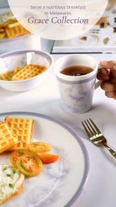 Melawares Grace 6pc 11 inch Melamine Plastic Round Dinner Plate with Silver Lining Set