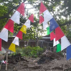 Bendera Umbul Umbul Murah Warna Warni Garuda | Spanduk pesta Kemerdekaan 17 agustus Umbul umbul polos