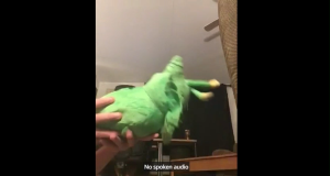 Alien Cat Plush Toy - Soft Stuffed Animal Doll Cute Forsaken Collectible Gift for Kids Fans