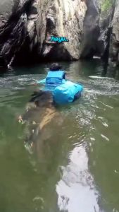 Dry Bag Backpack Waterproof 10 Liter Tas Ransel Anti Air 100%