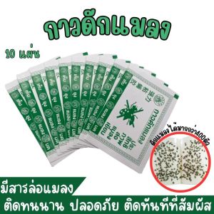 กาวดักแมลงวัน 10 แผ่น รุ่นกระดาษ กาวเหนียวแน่น กระดาษสีเขียว กาวไม่เยิ้ม มีสารล่อแมลงในกาว insect glue