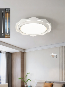 DGY | Vintage French Leafless Fan Light