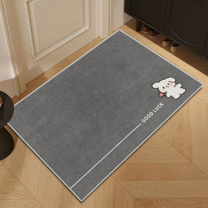 Lót Sàn Lót Cửa Nhập Tịch Lót Chống Trượt Phòng Khách Lối Vào Tối Giản Hiện Đại Lót Chân Cửa Ra Vào Gia Dụng Trải Toàn Bộ Diện Tích Lớn