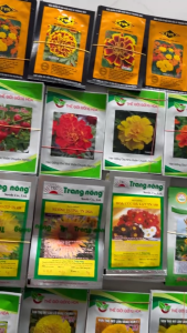 Hạt Giống Ớt Kiểng Trái Tim OT202 Love THẾ GIỚI GIỐNG HOA (Gói 100 hạt) - Hàng mới về Tết 2027
