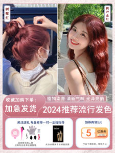 Raspberry Red Hair Color Cream Bordeaux Red Brown Pure Sea King Dark Red Plant Wine Red Float-Free at Home Genuine Goods