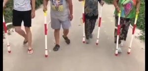 Multifunctional Knapsack Fertilizer Applicator Backpack Shoulder Bag Corn Tree Agricultural Tools