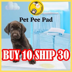 A Comprehensive Guide to Paw Pet Diapers & Absorbent Pads