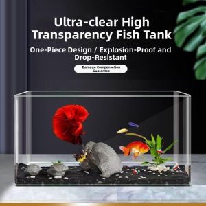 FAGEEN | Small Desktop Fish Tank Aquarium