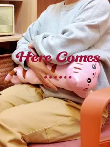 Hailicare | Heated Cat Plush Pillow USB Rechargeable Warming Cushion with 5 Heat Levels & 5 Timers Cozy Cute Gift for Her Home Office Bed