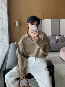 Hualun Spring and Autumn Long Sleeve T-shirt Boys Polo Shirt 2024 New Arrival Fancy Solid Color Polo Collar Old Money Style Tops