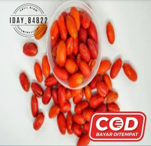 kulit melinjo kulit Tangkil Mateng 1kg super merah merona TERMURAH