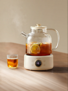 OIDIRE | All-Glass Multipurpose Electric Kettle